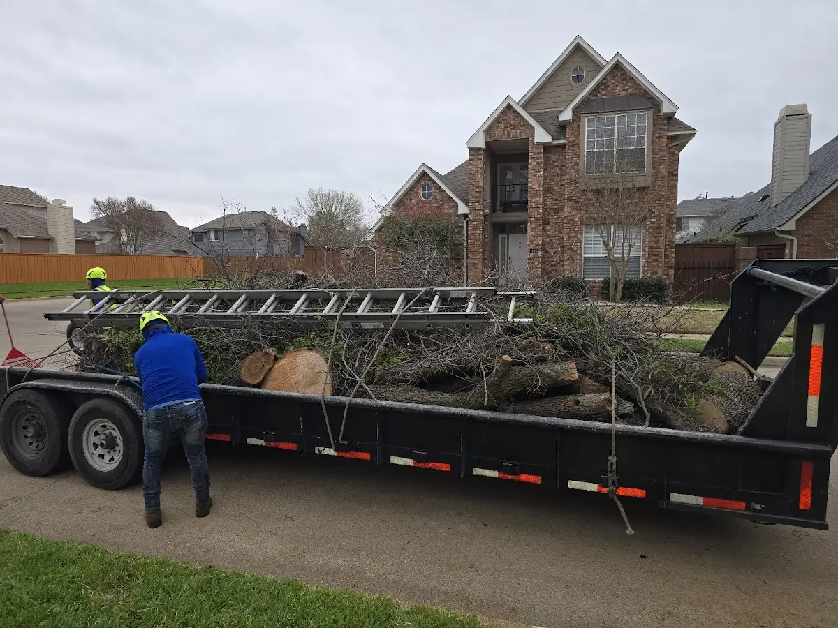 Expert Tree Fertilization with proper safety equipment in Banner Elk